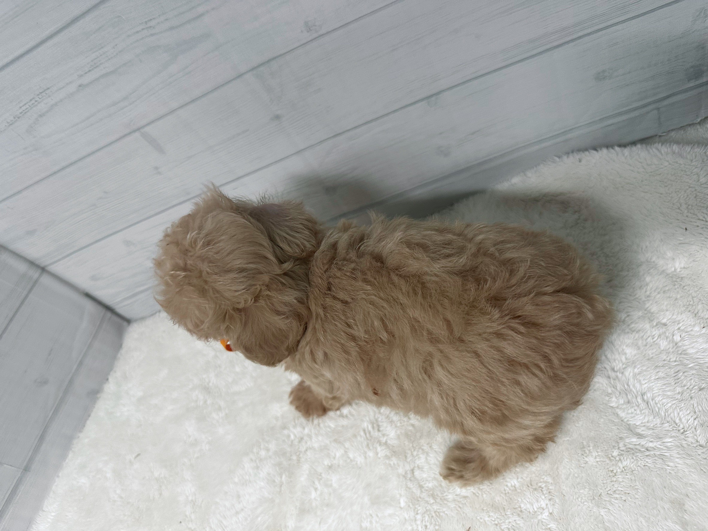 赤ちゃん写真3-3