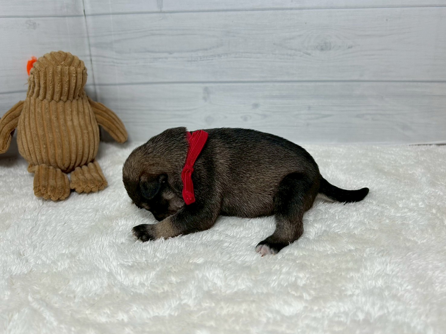 赤ちゃん写真1-2