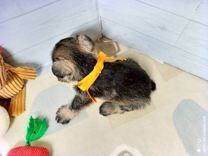 赤ちゃん写真2-3