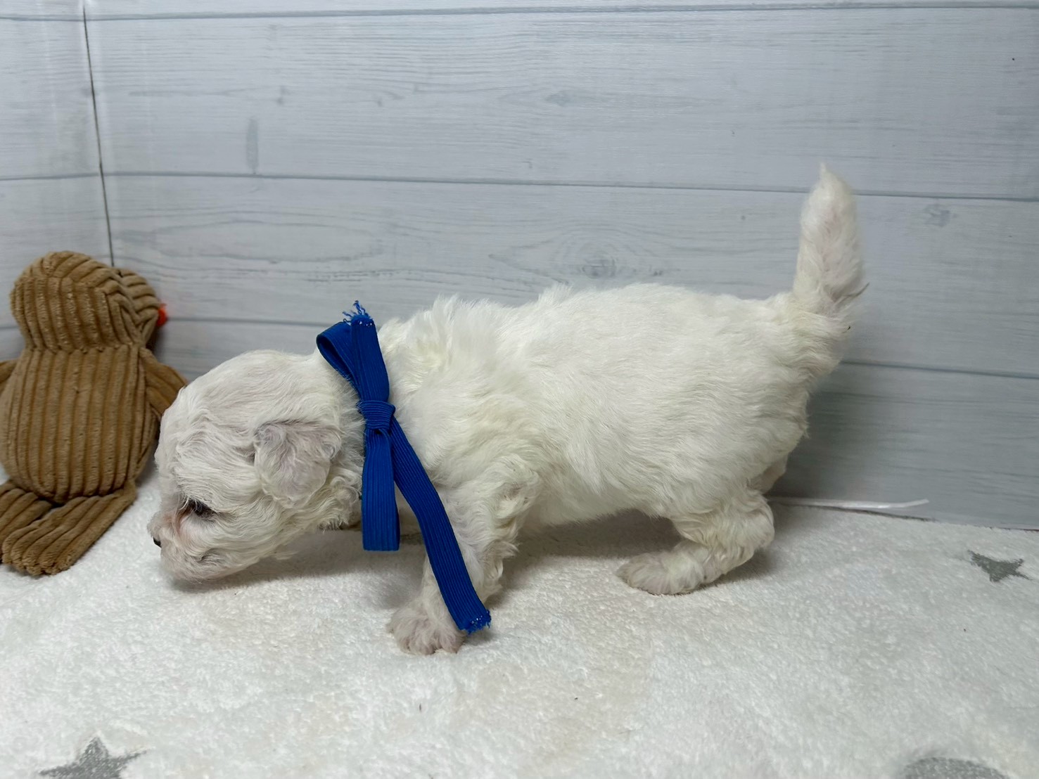 赤ちゃん写真2-2