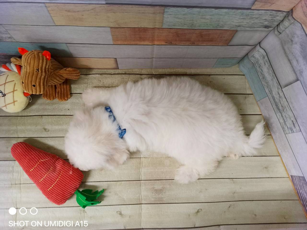 赤ちゃん写真3-3