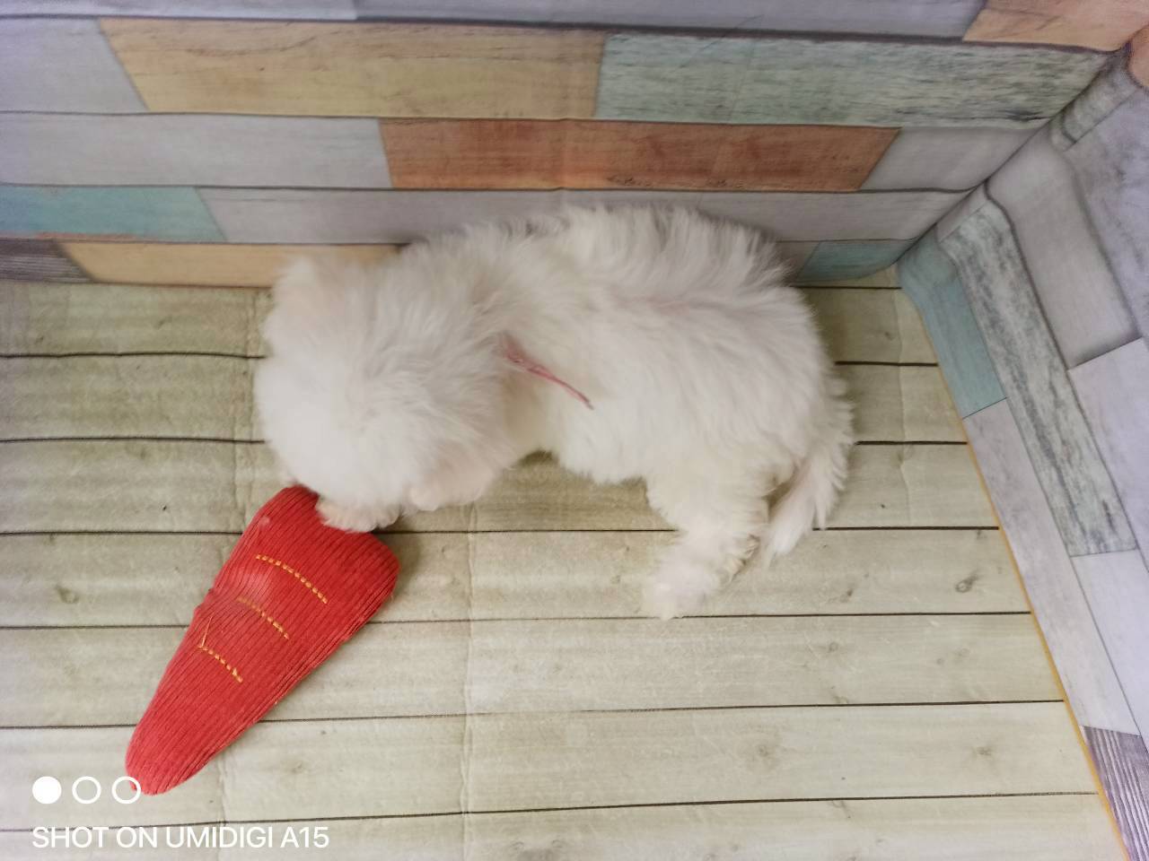 赤ちゃん写真3-3