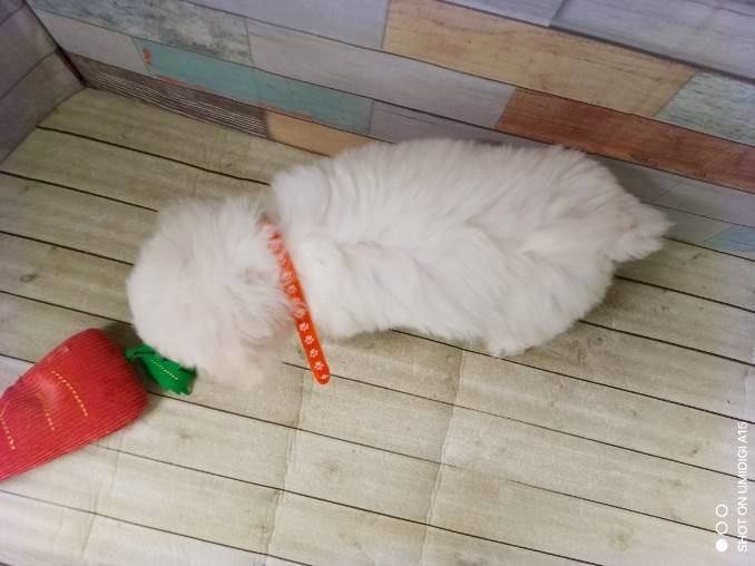 赤ちゃん写真3-3