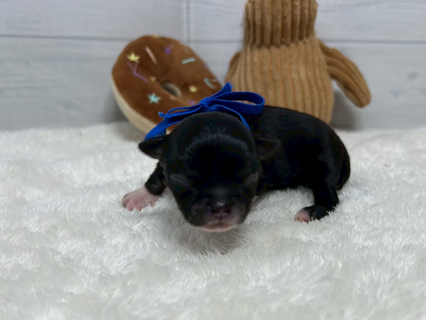 赤ちゃん写真1-1