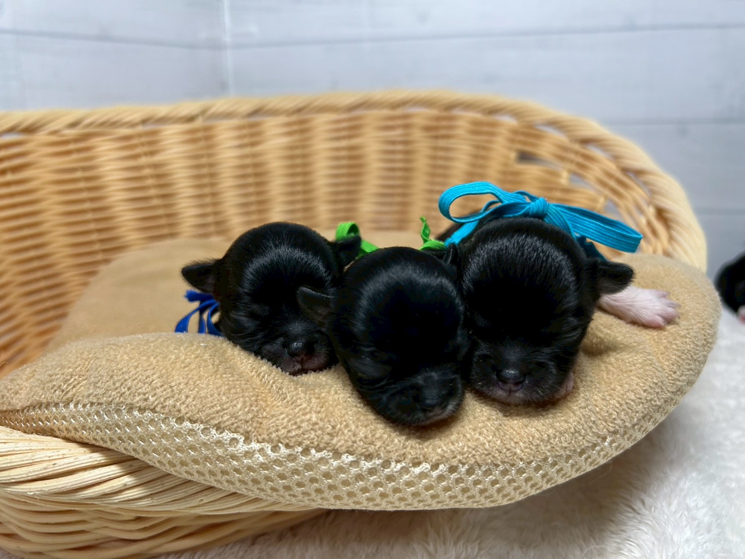赤ちゃん写真1-3