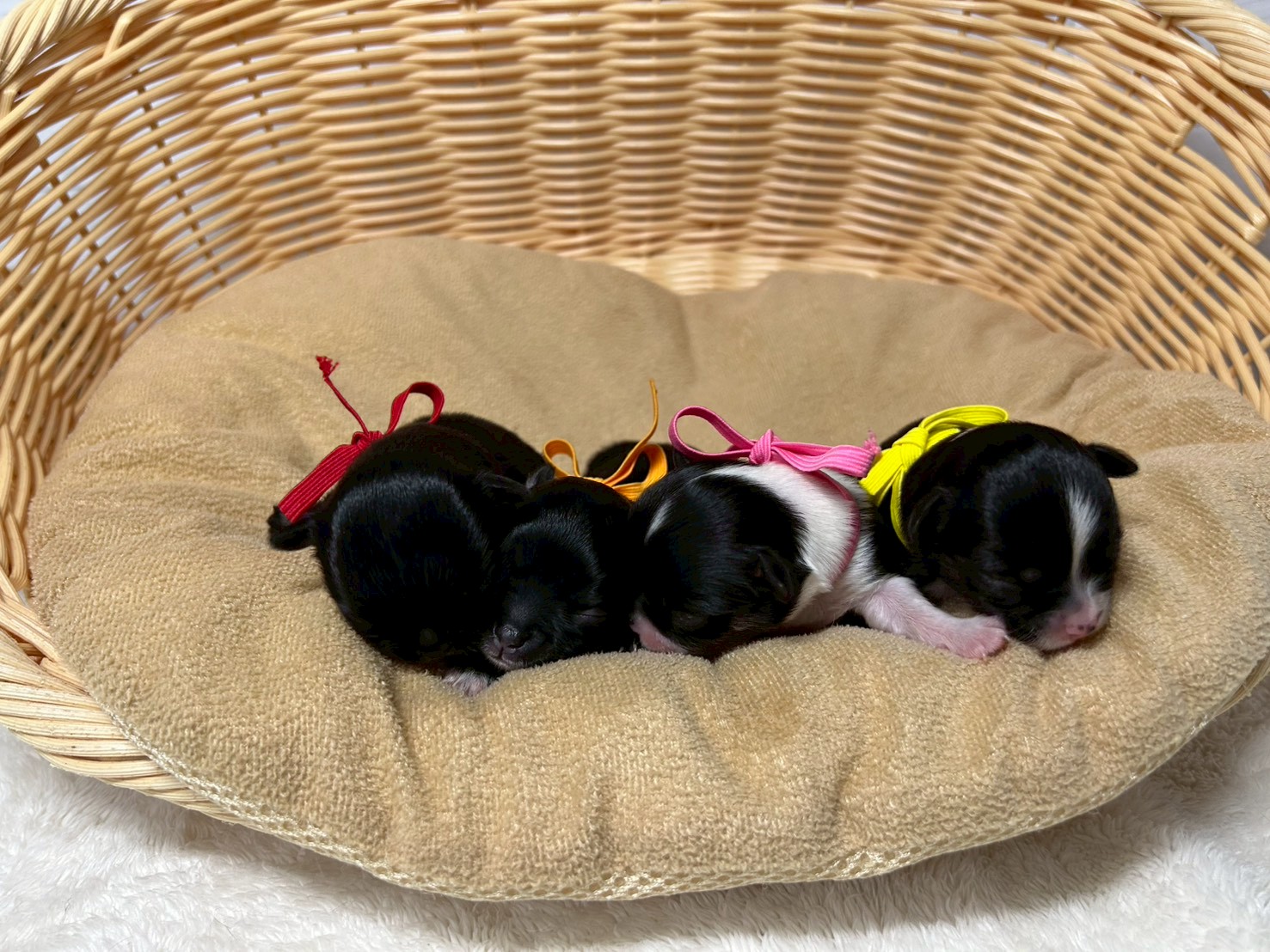 赤ちゃん写真1-3