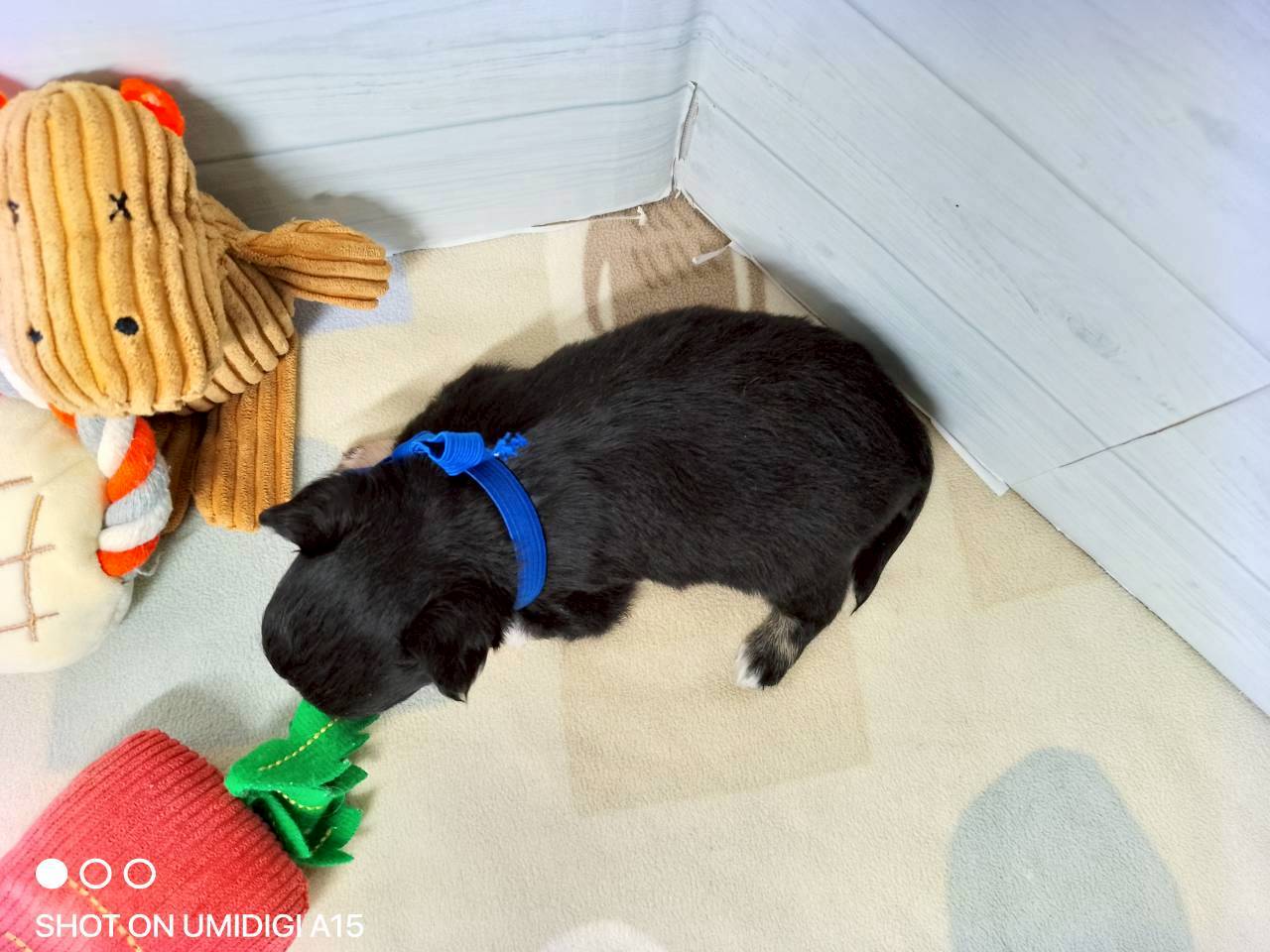 赤ちゃん写真2-3