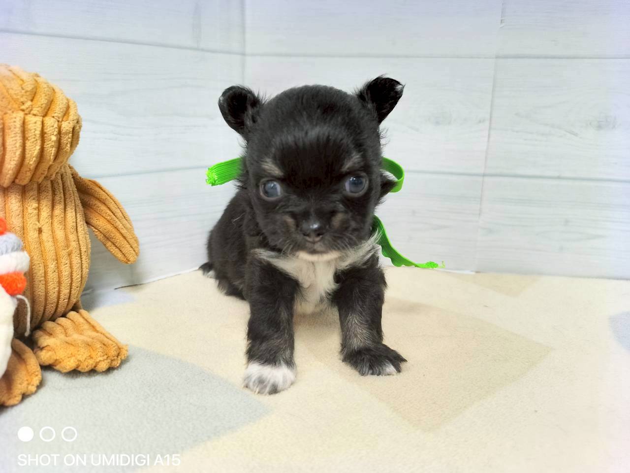赤ちゃん写真2-1