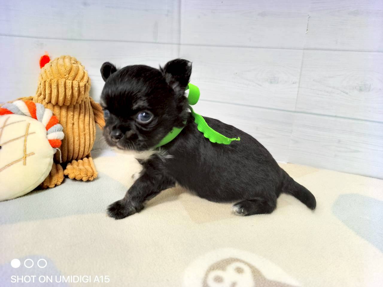 赤ちゃん写真2-2