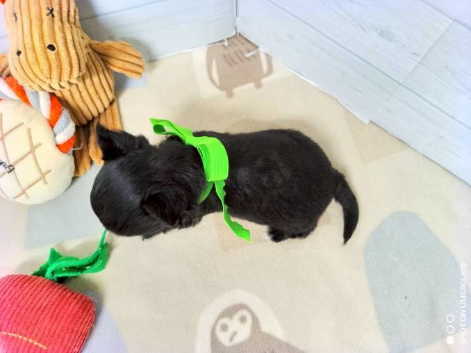 赤ちゃん写真2-3