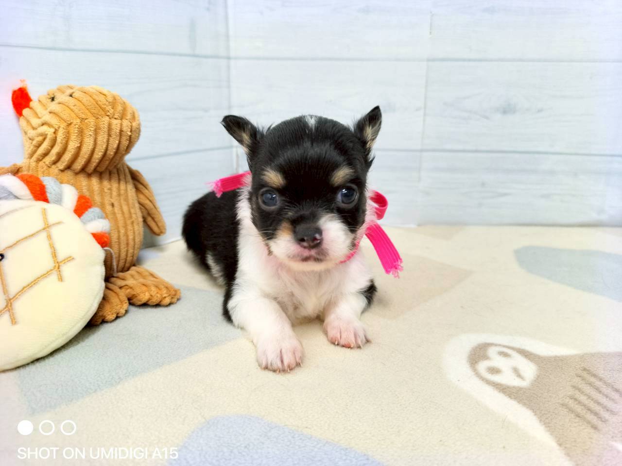 赤ちゃん写真2-1