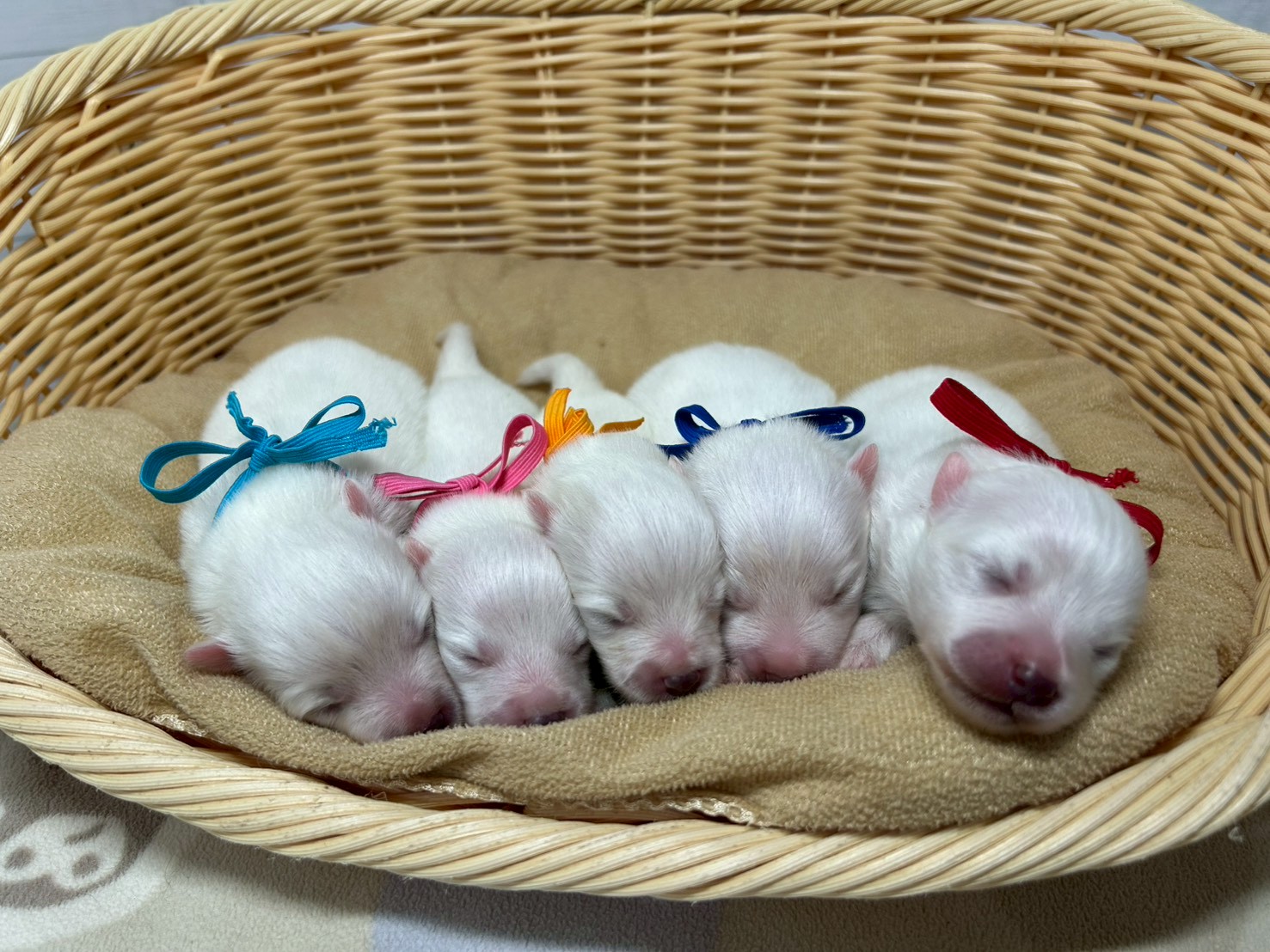 赤ちゃん写真1-3