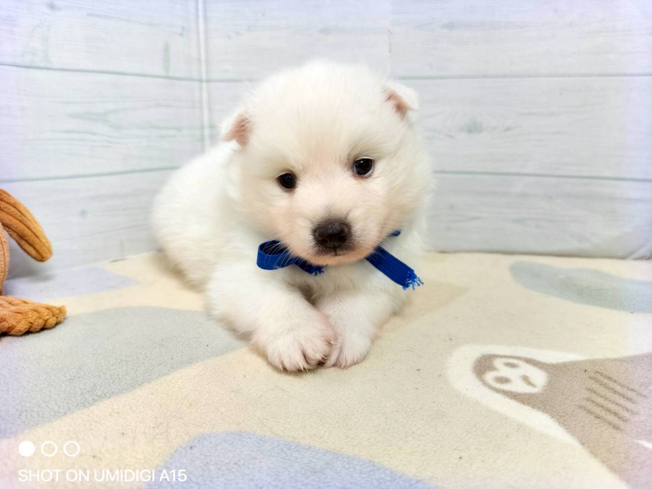 赤ちゃん写真2-1