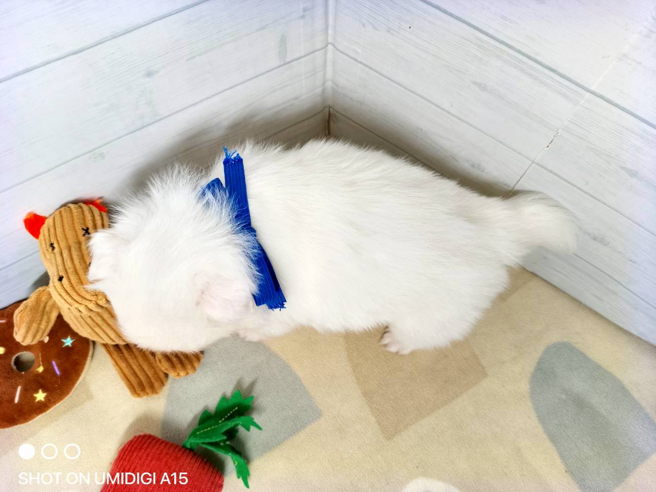 赤ちゃん写真2-3