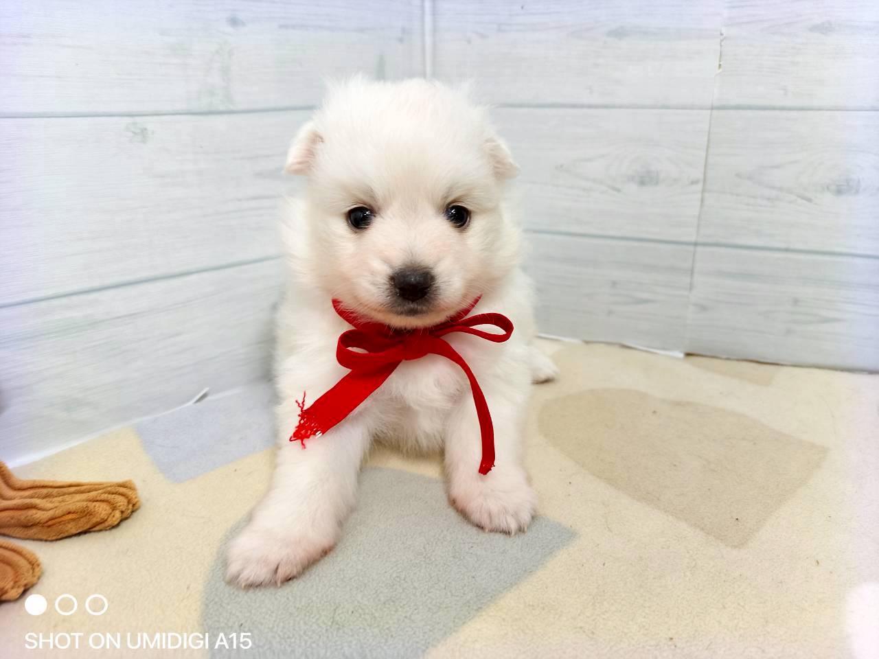 赤ちゃん写真2-1