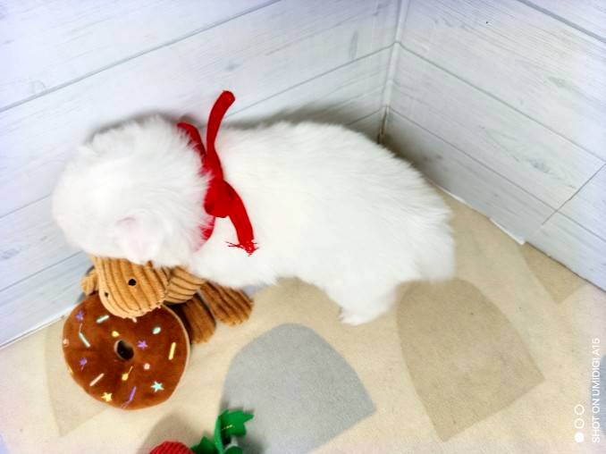 赤ちゃん写真2-3