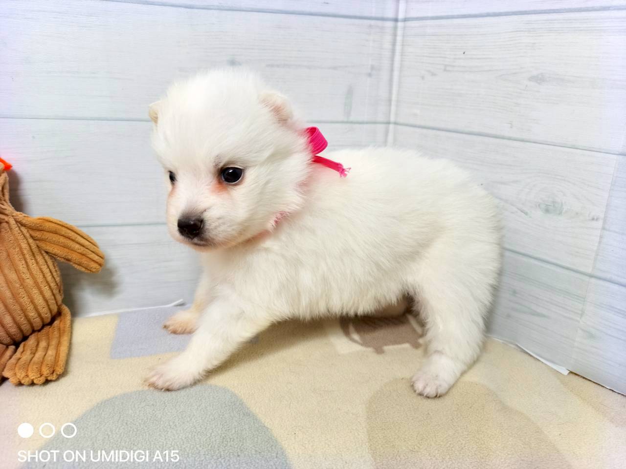 赤ちゃん写真2-2