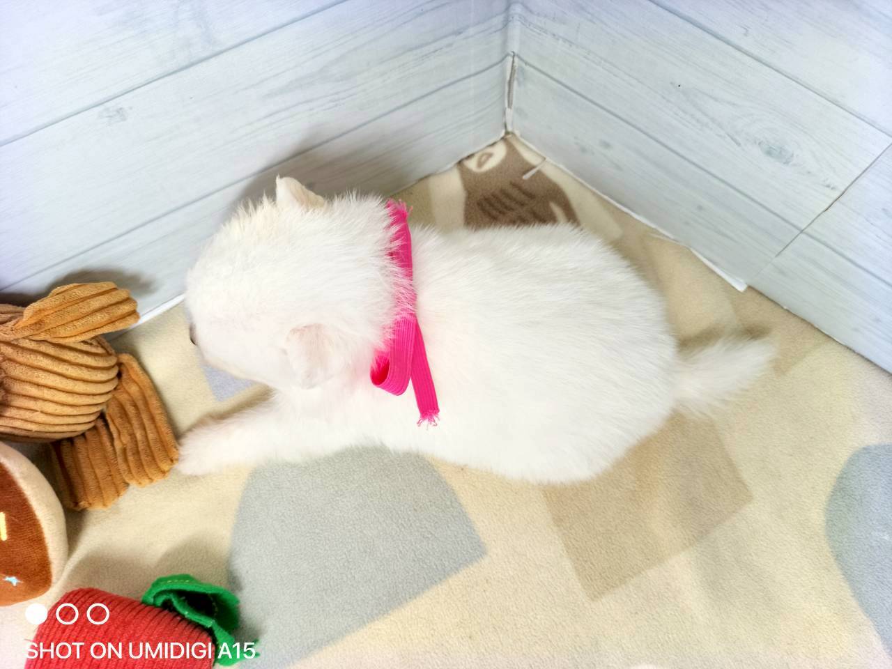 赤ちゃん写真2-3
