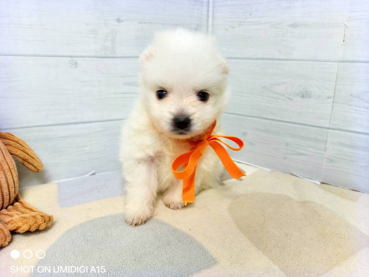 赤ちゃん写真2-1
