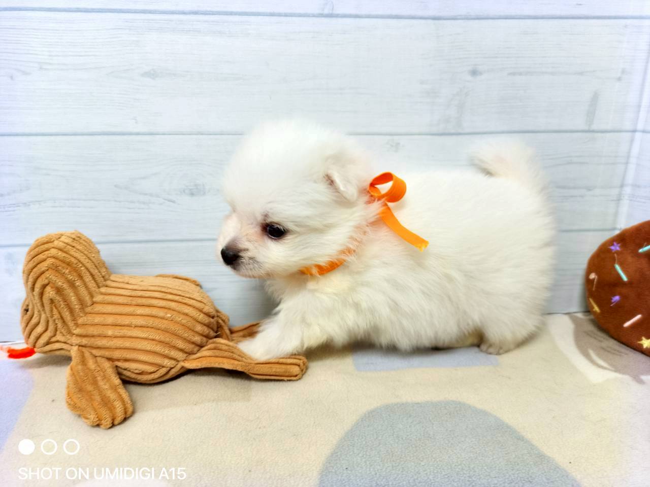 赤ちゃん写真2-2