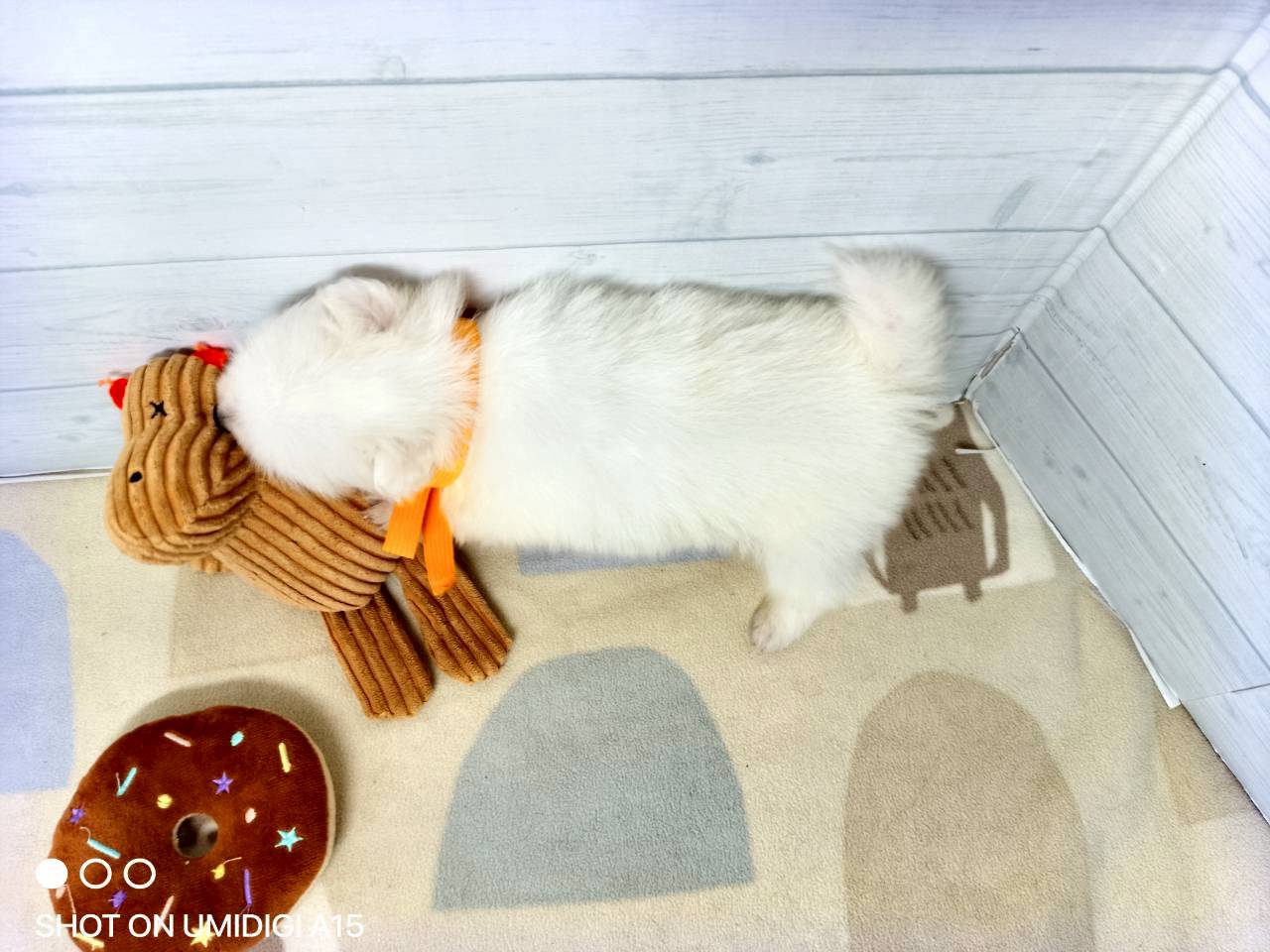 赤ちゃん写真2-3