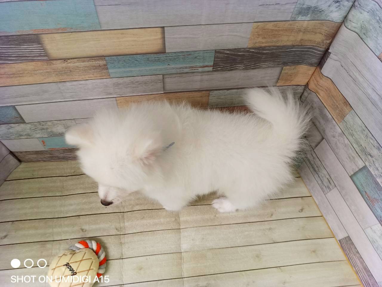 赤ちゃん写真3-3