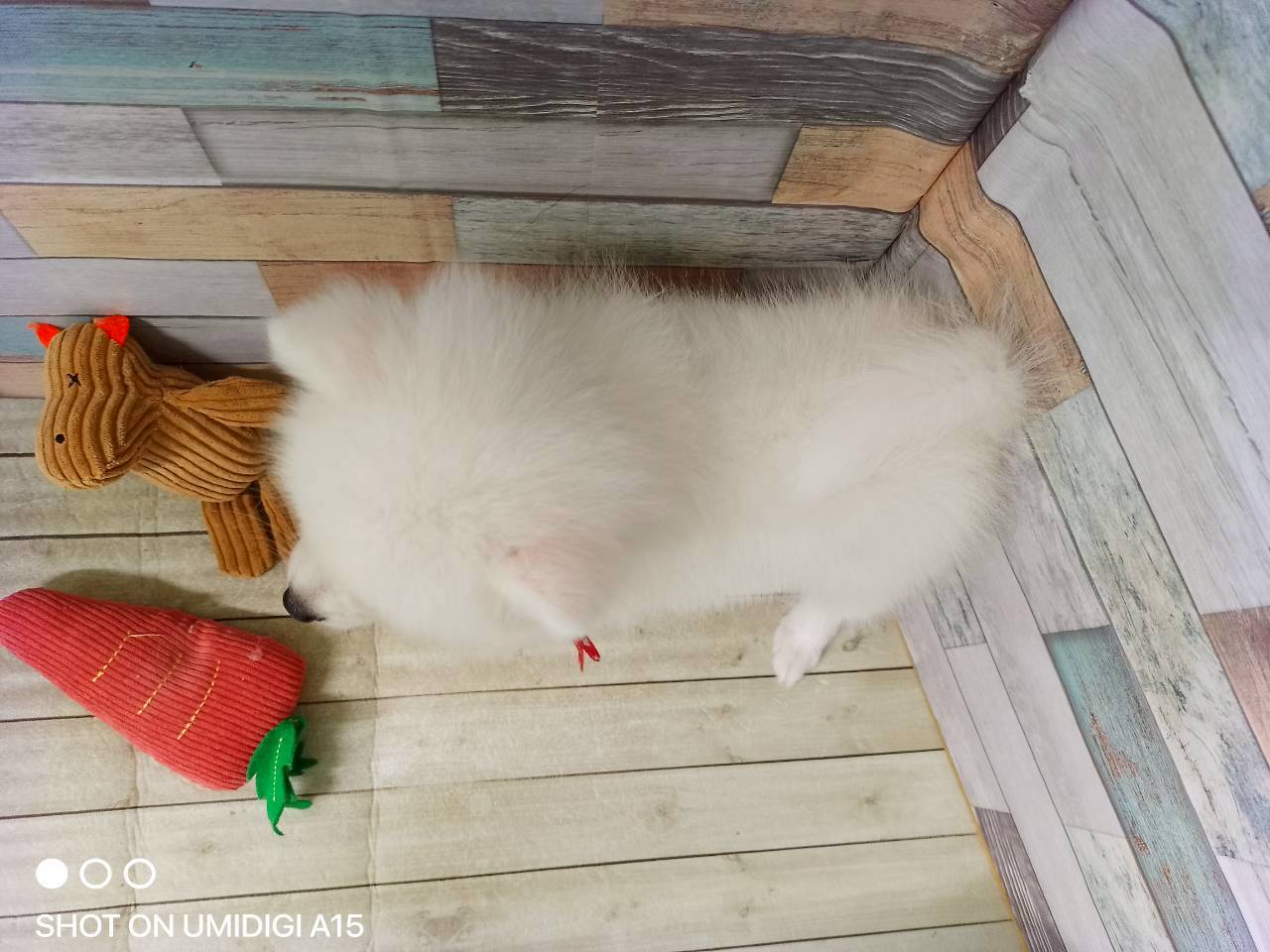 赤ちゃん写真3-3