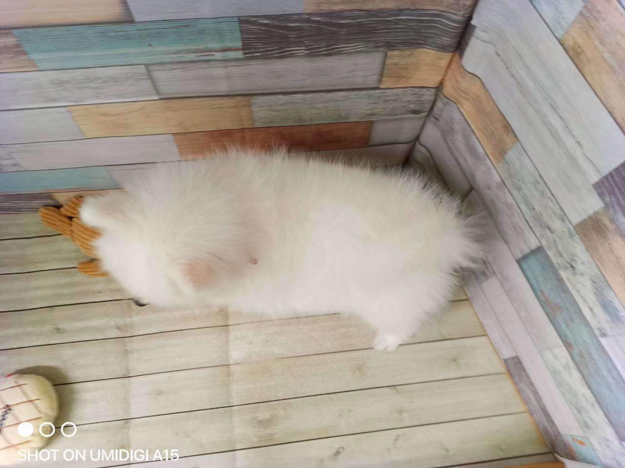 赤ちゃん写真3-3