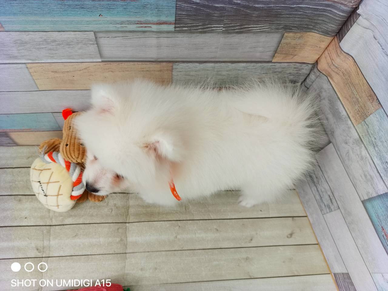 赤ちゃん写真3-3