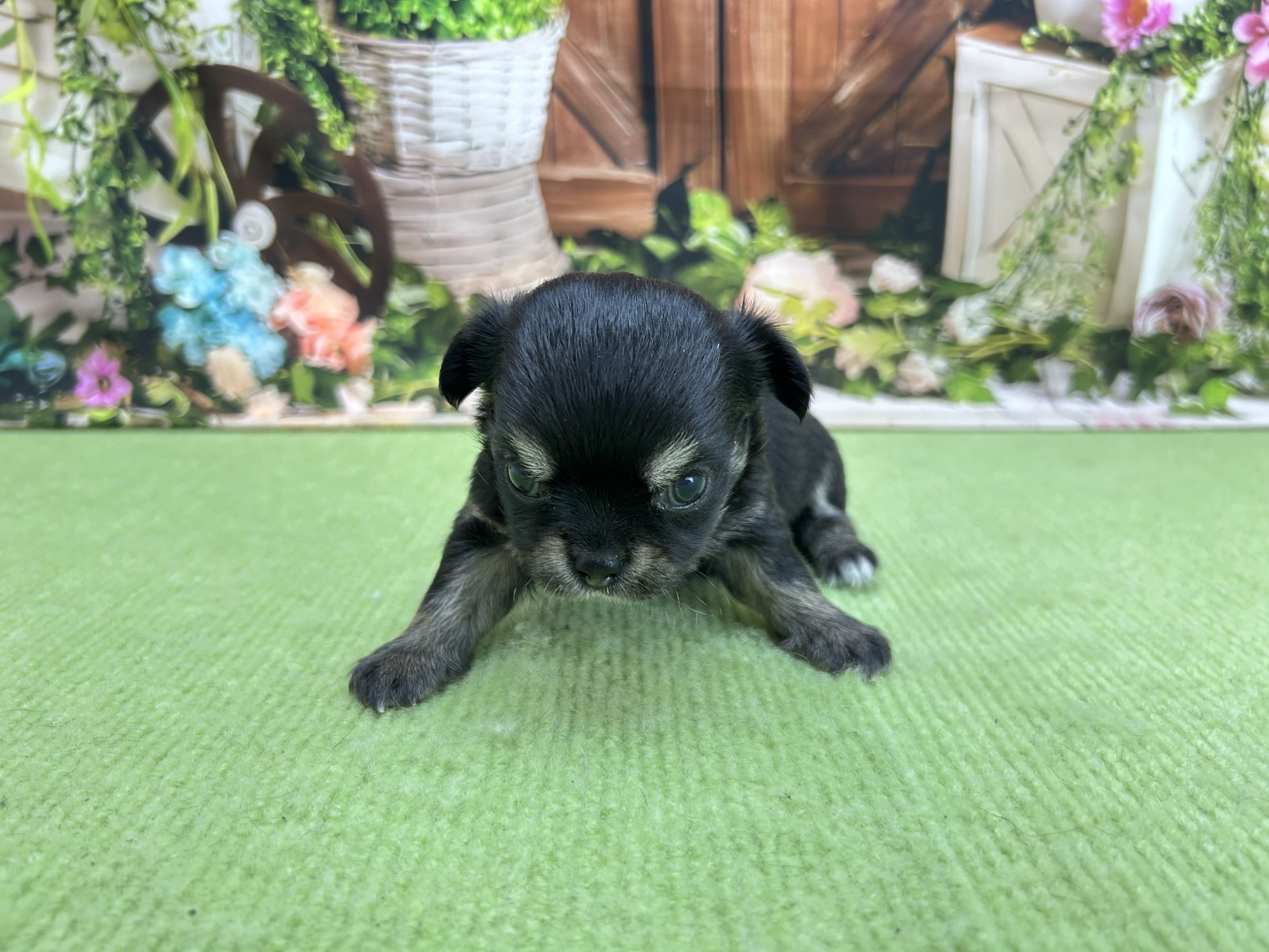 赤ちゃん写真1-1