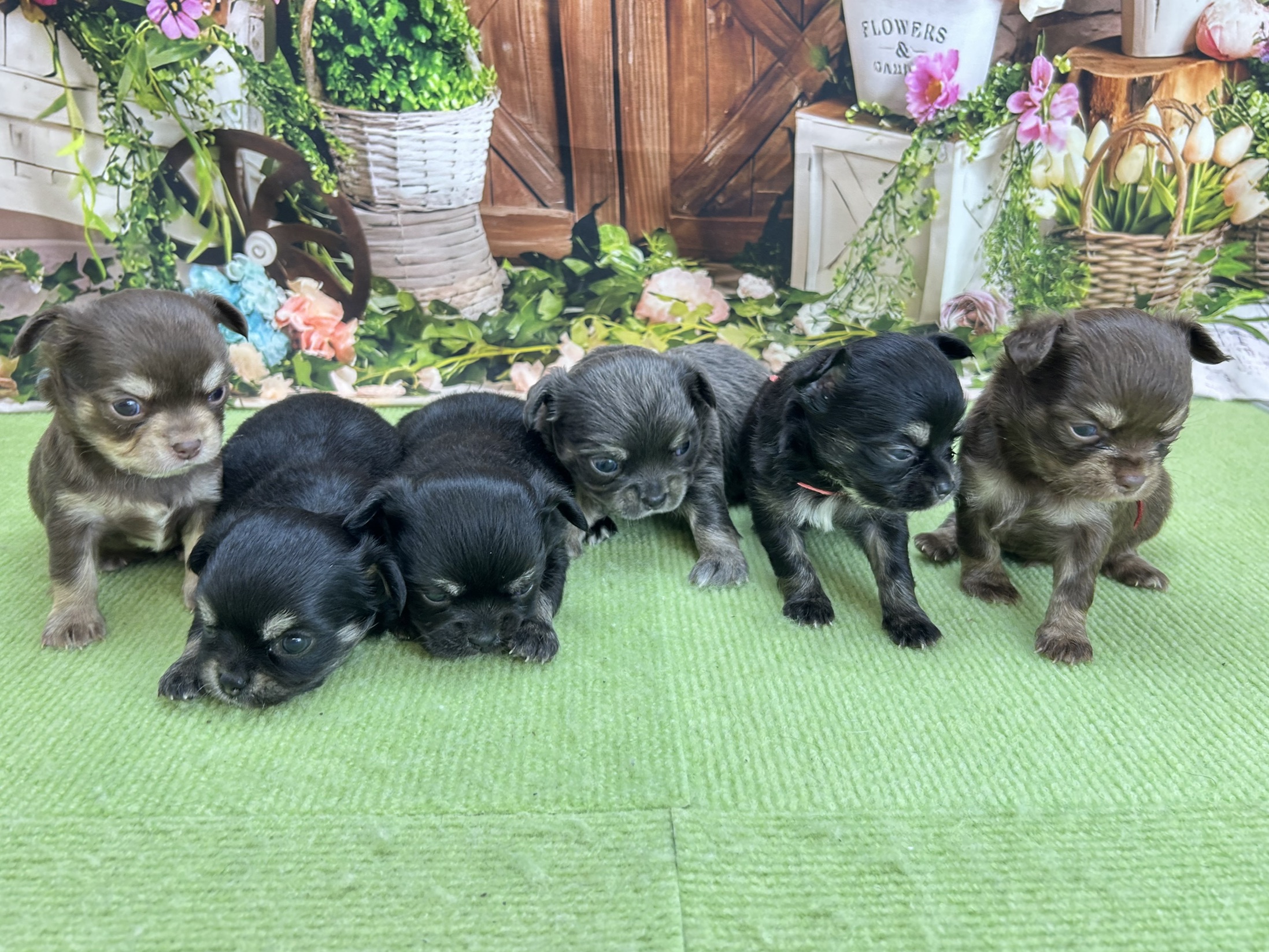 赤ちゃん写真1-3