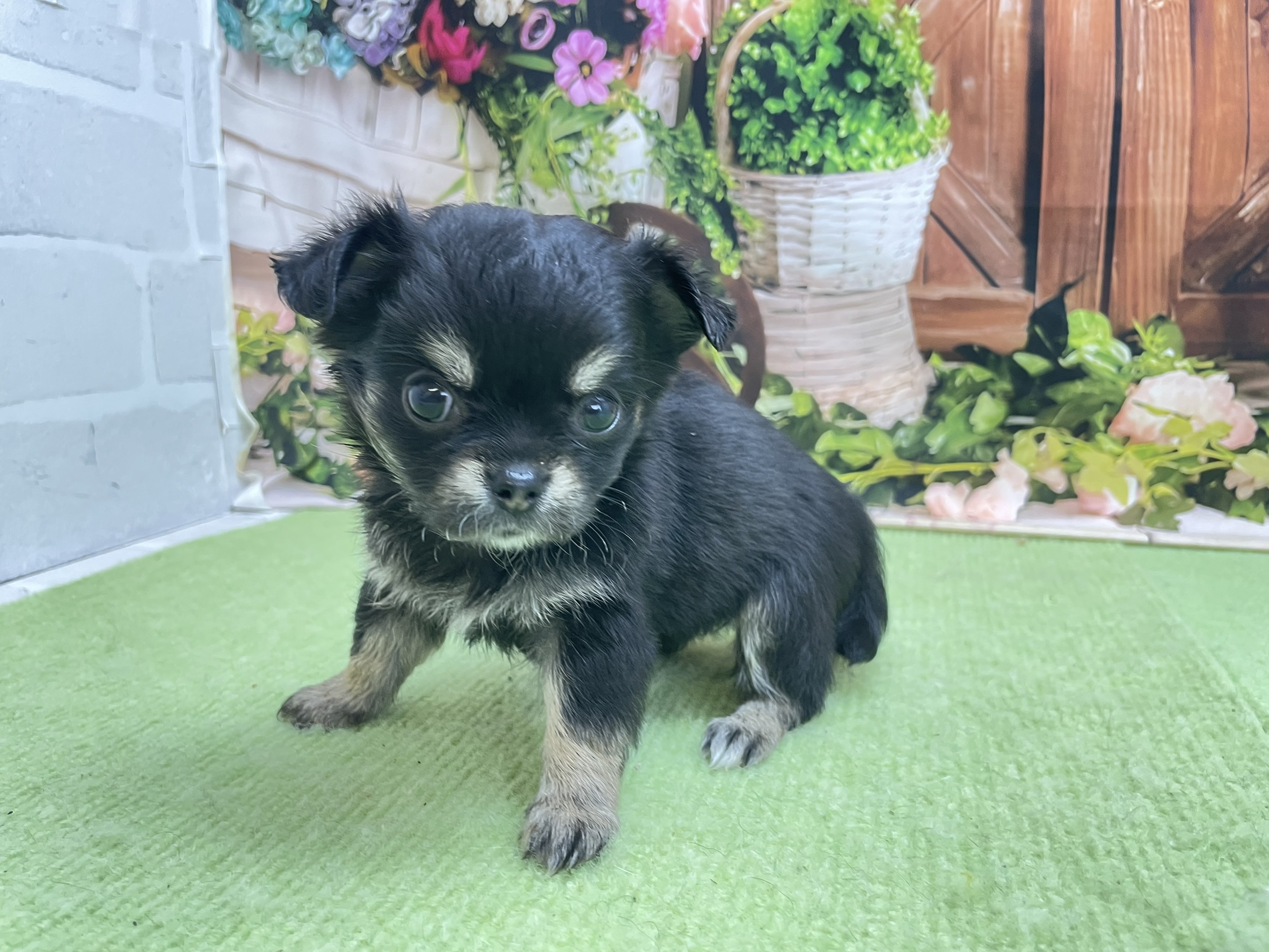 赤ちゃん写真2-1