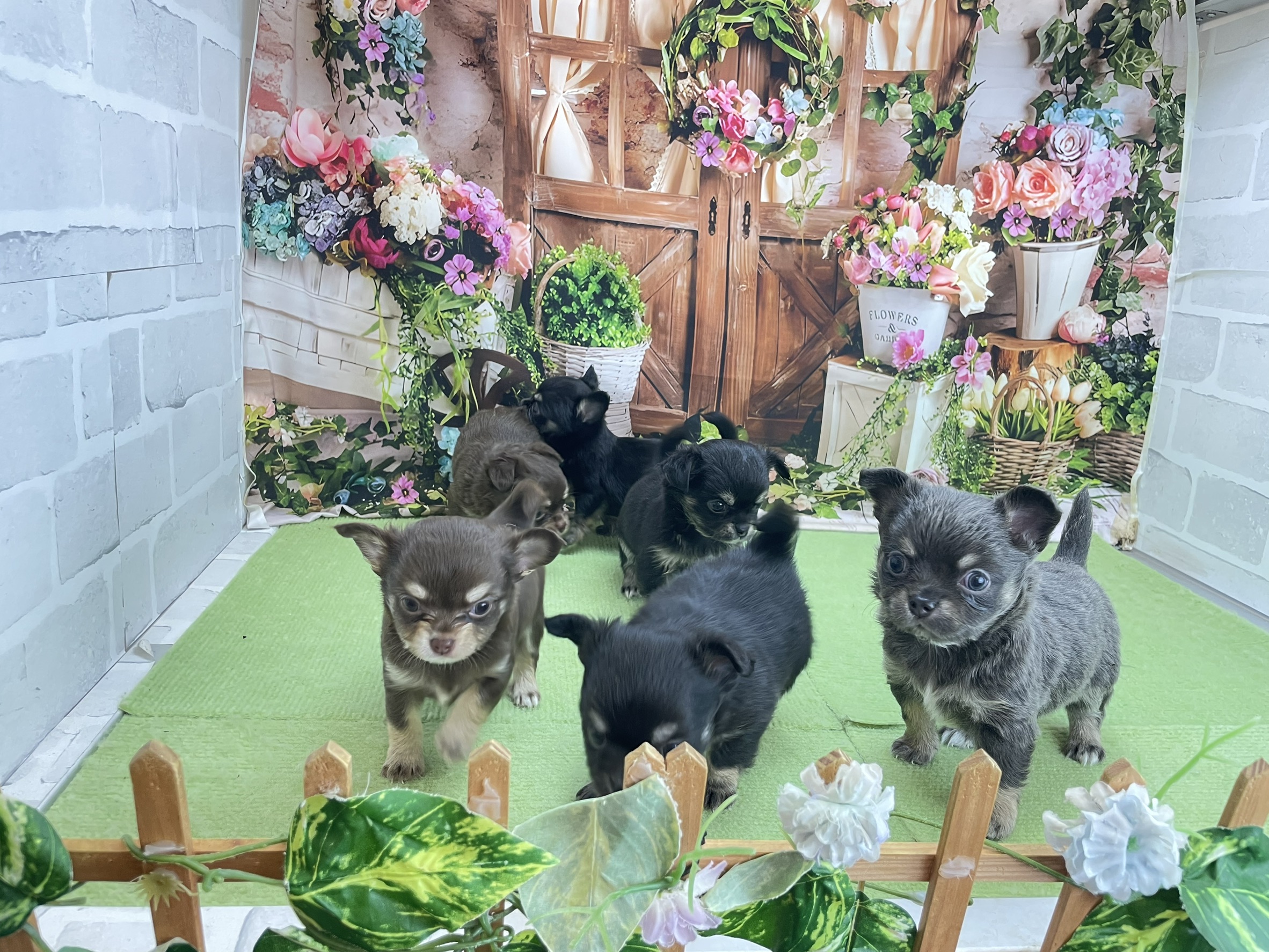 赤ちゃん写真2-3