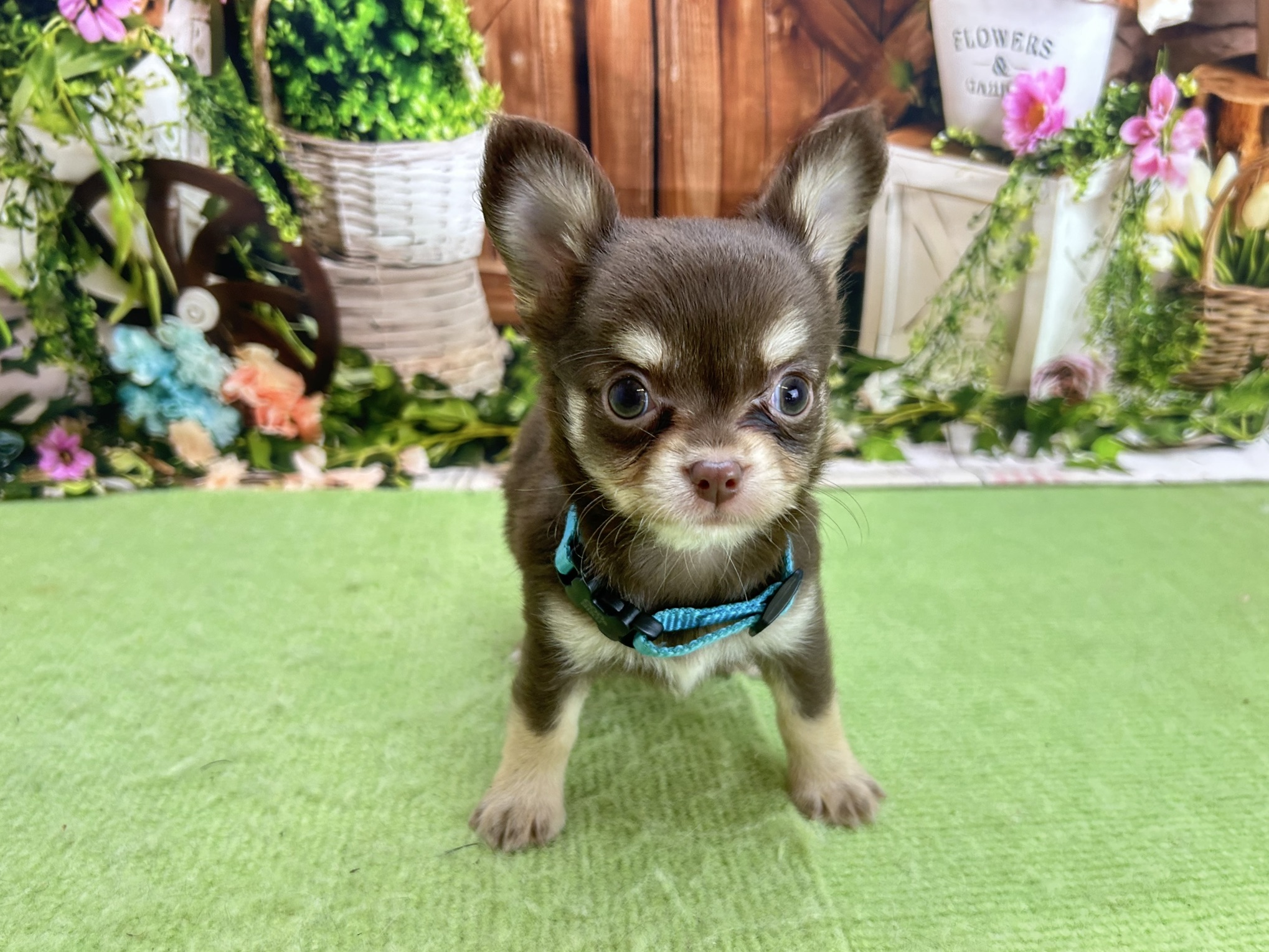 赤ちゃん写真3-1