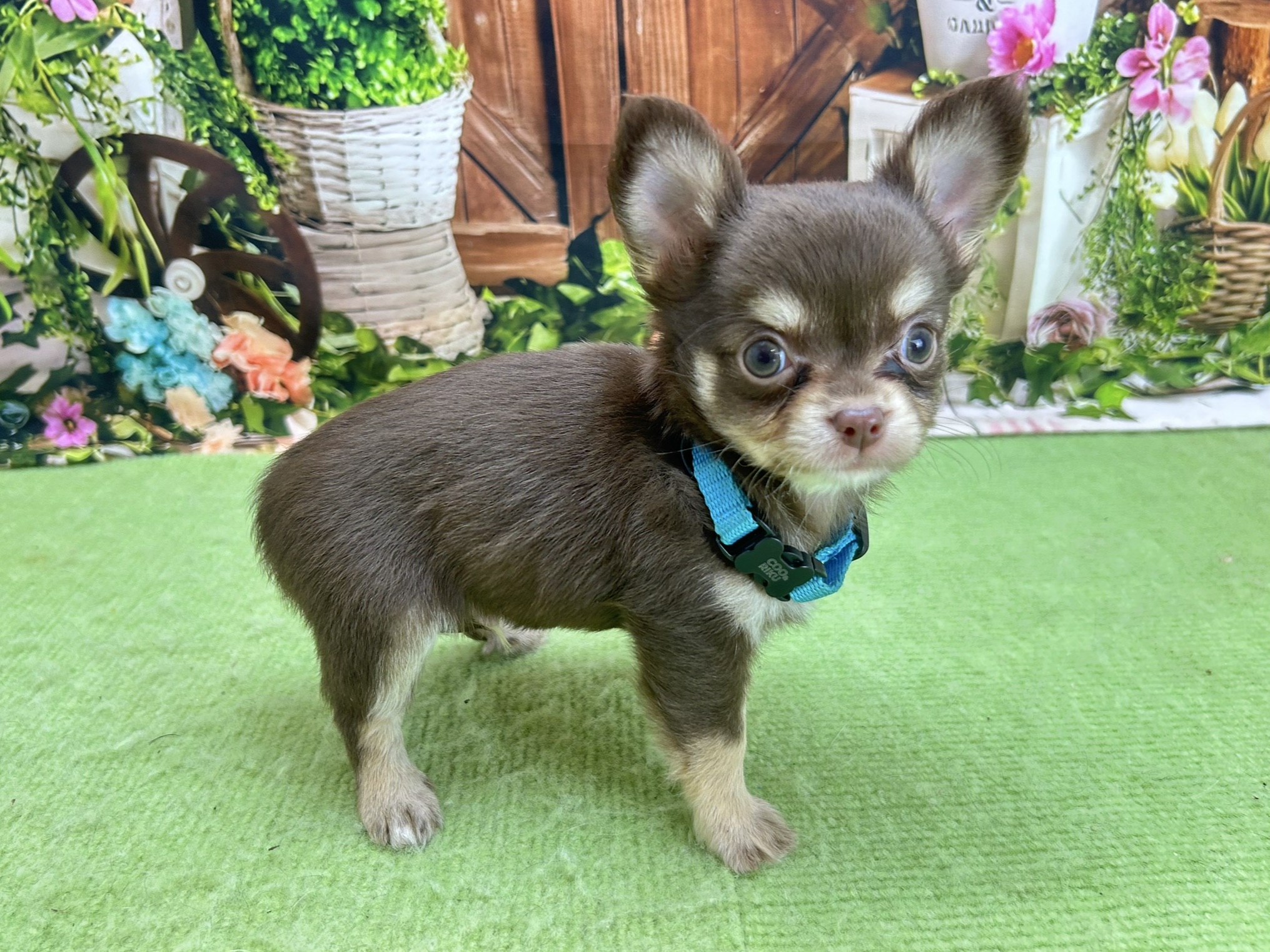 赤ちゃん写真3-2