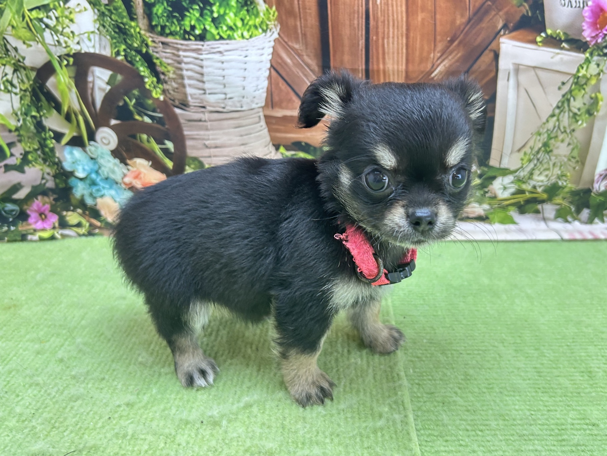 赤ちゃん写真3-2