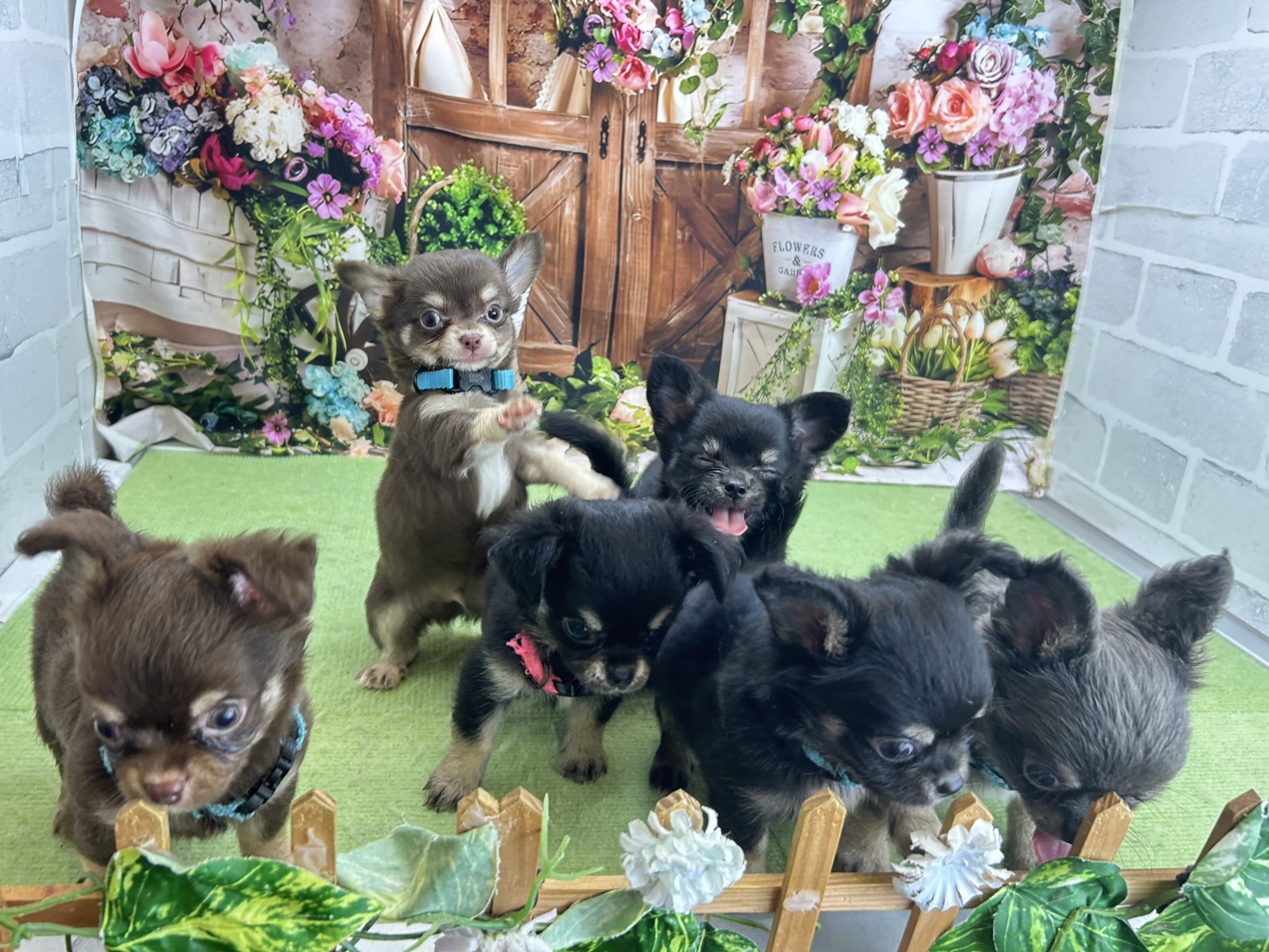 赤ちゃん写真3-3