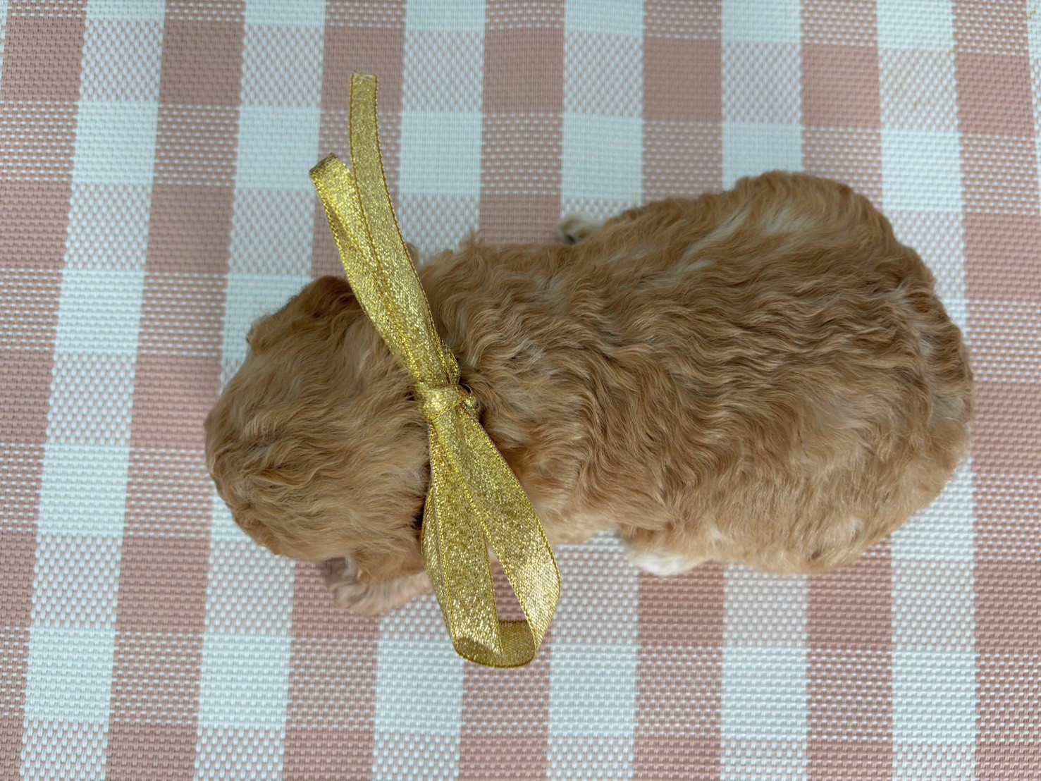 赤ちゃん写真2-3