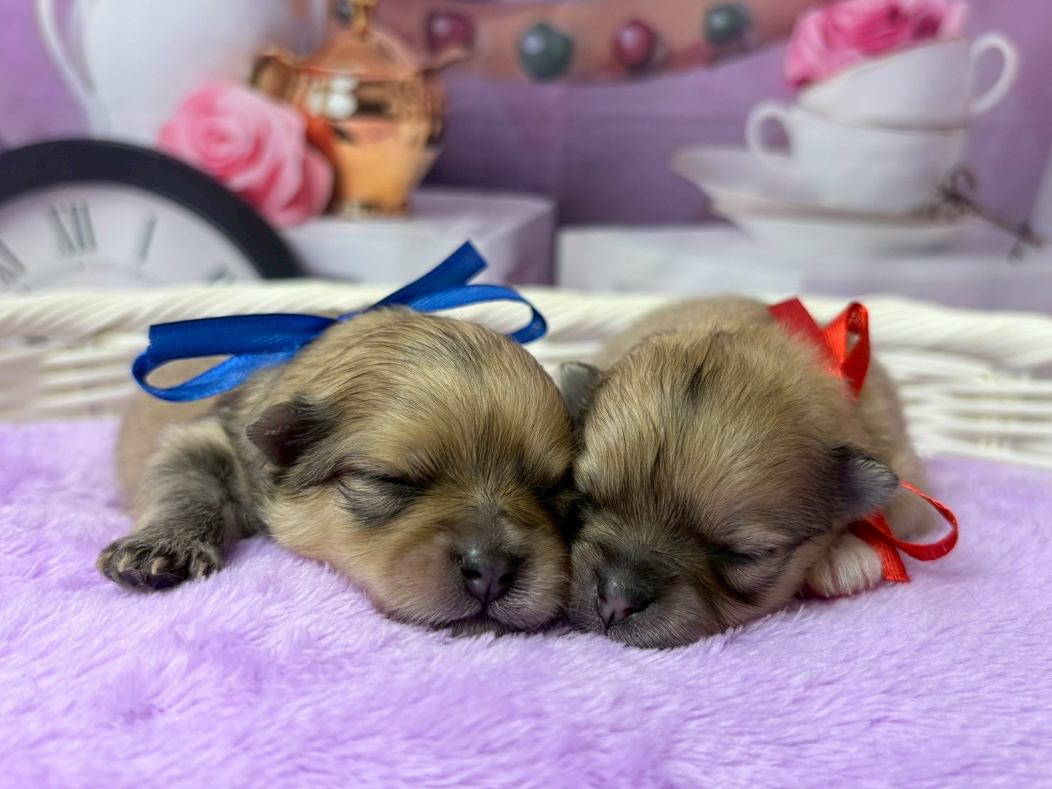 赤ちゃん写真1-3