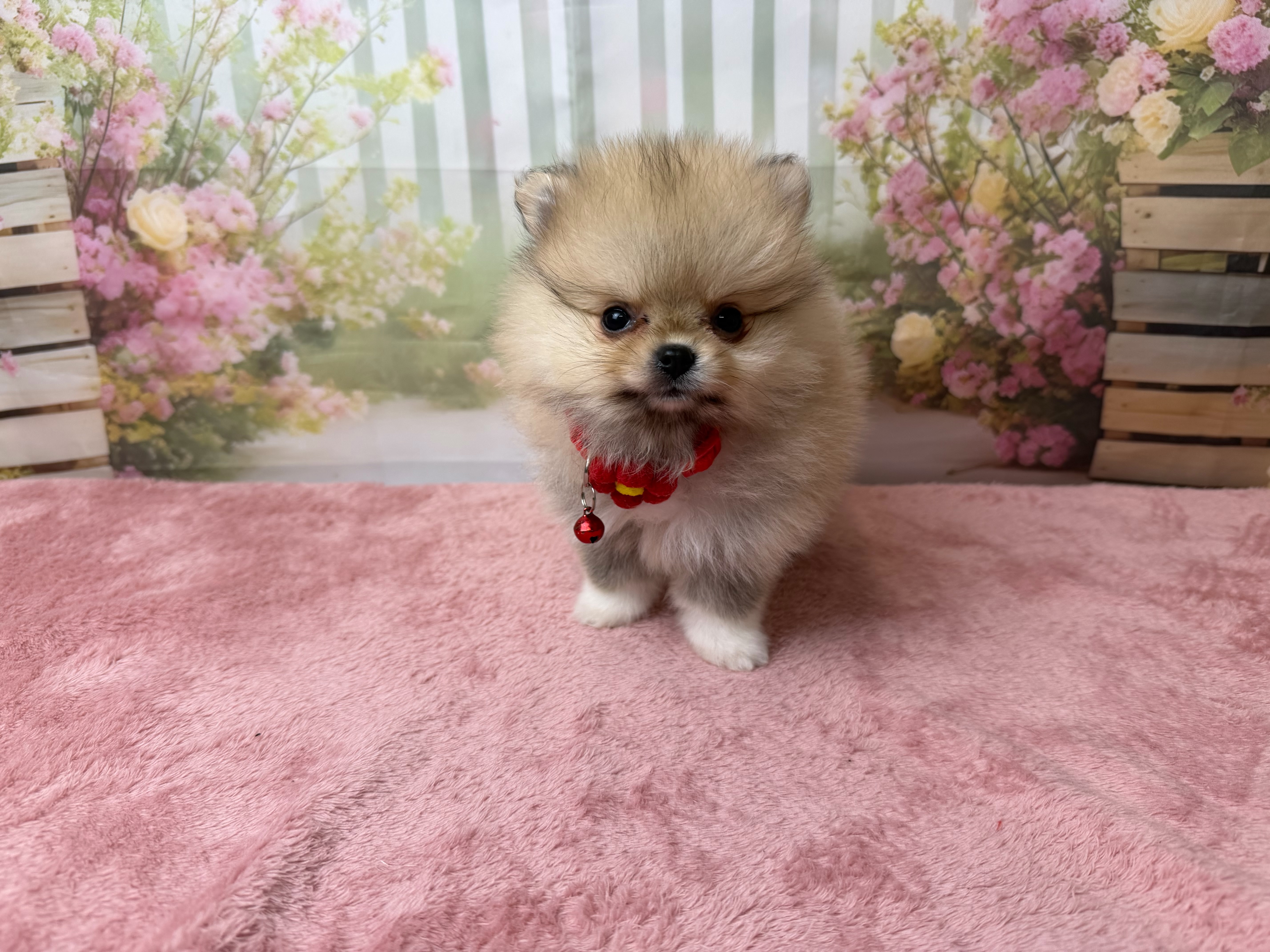 赤ちゃん写真3-1