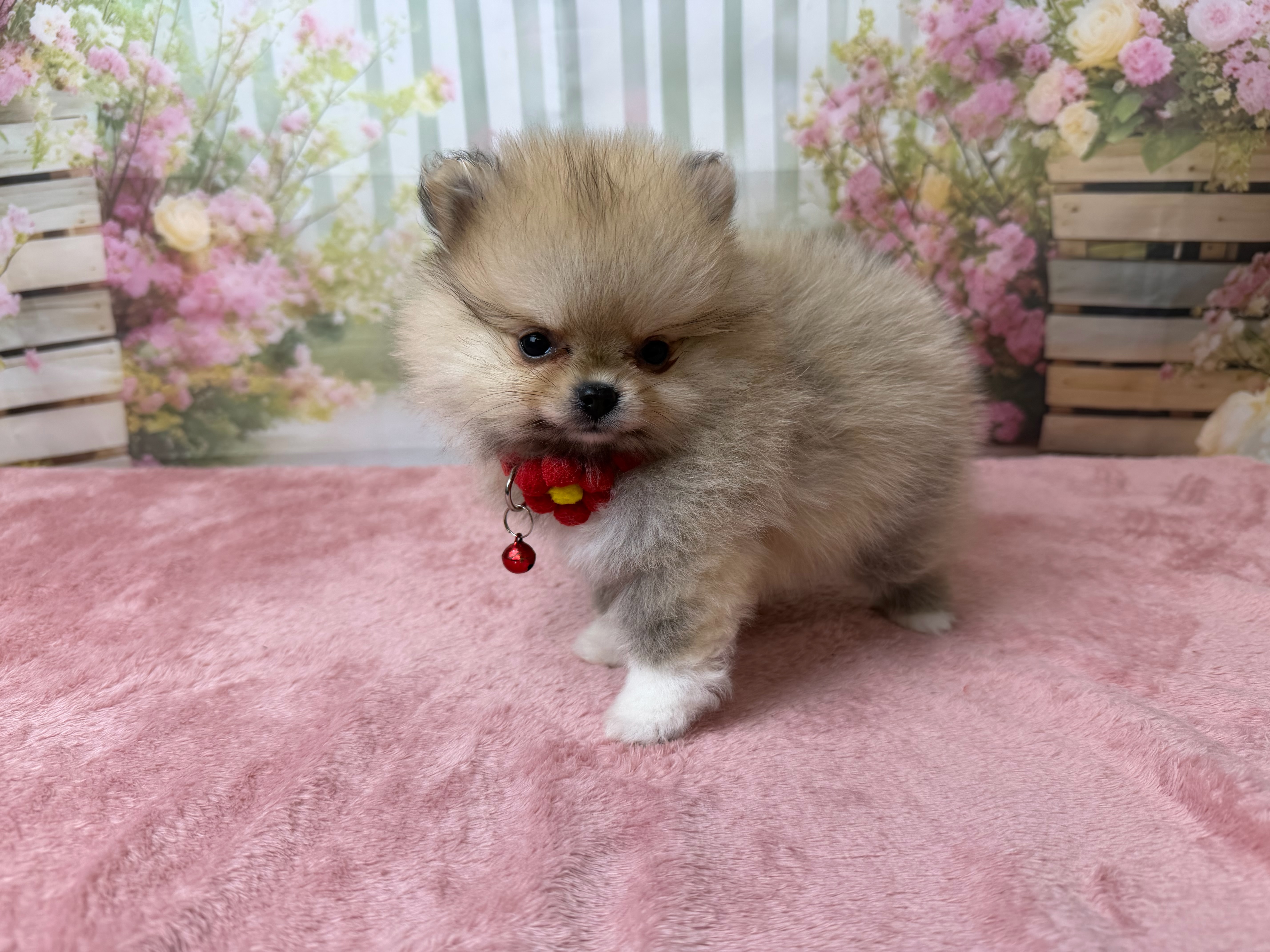 赤ちゃん写真3-2