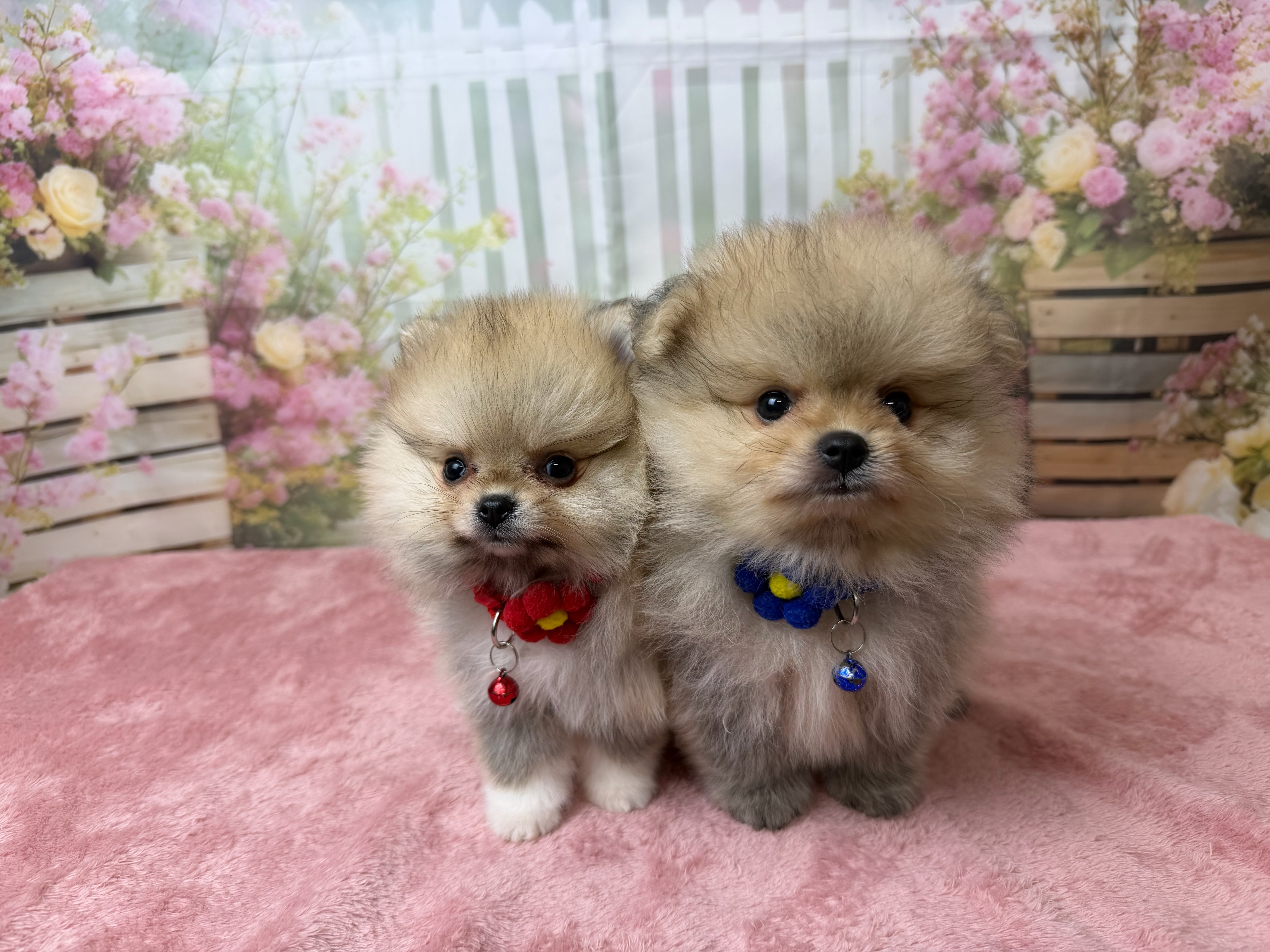 赤ちゃん写真3-3