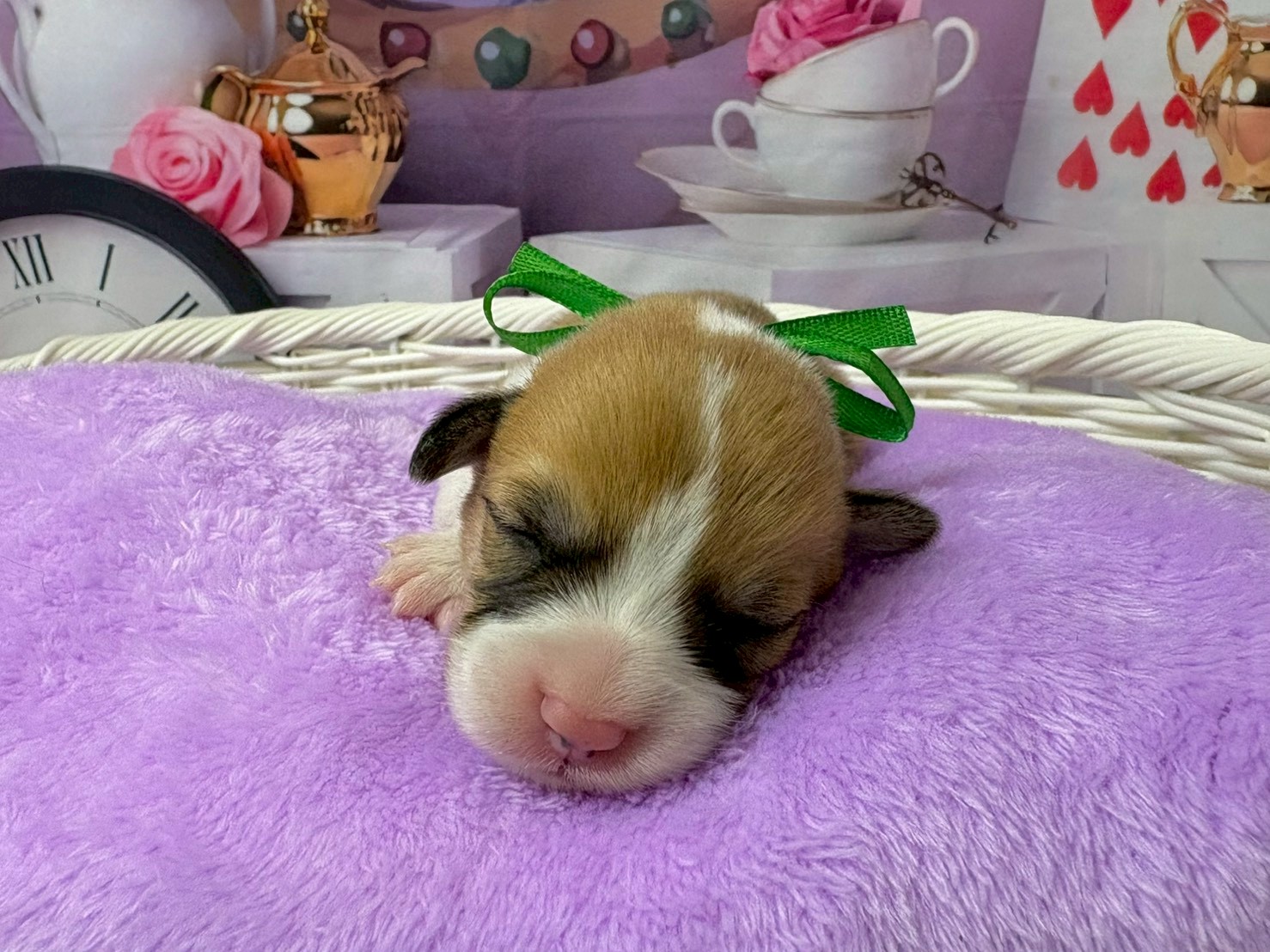 赤ちゃん写真1-1