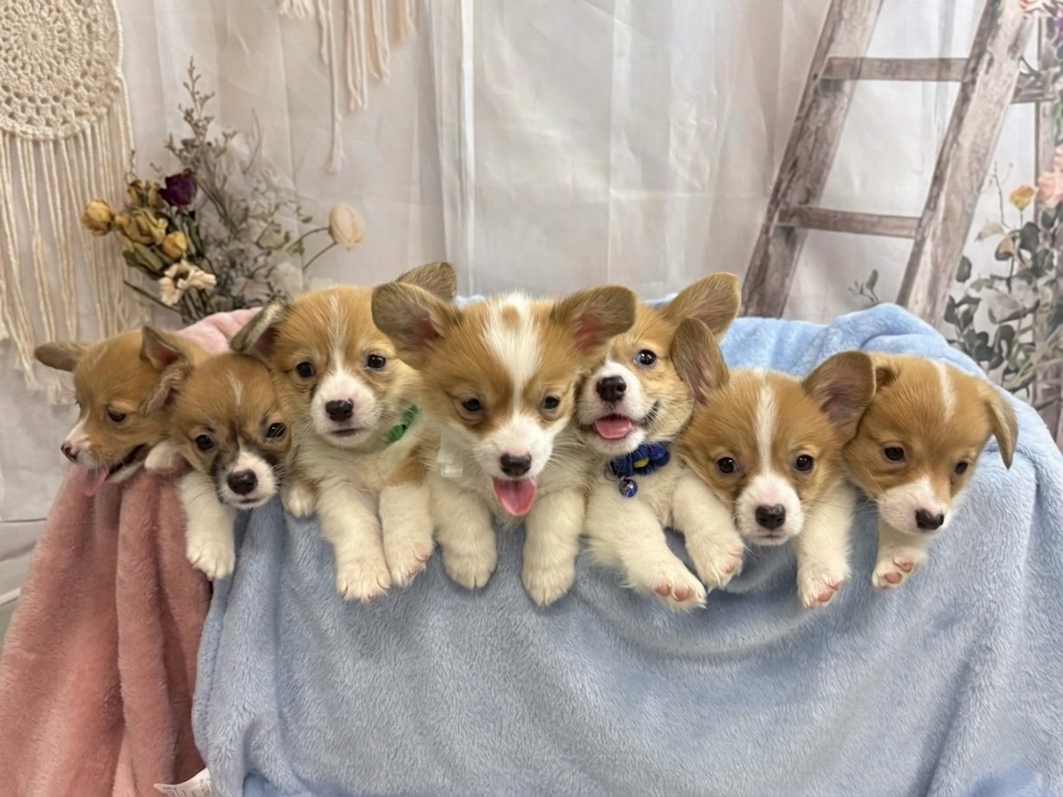 赤ちゃん写真3-3