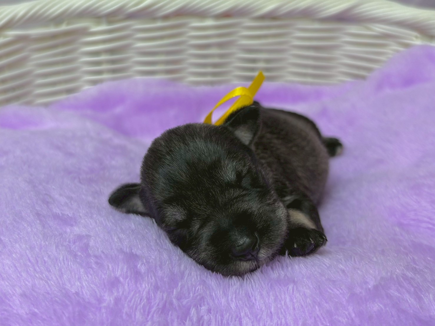 赤ちゃん写真1-1