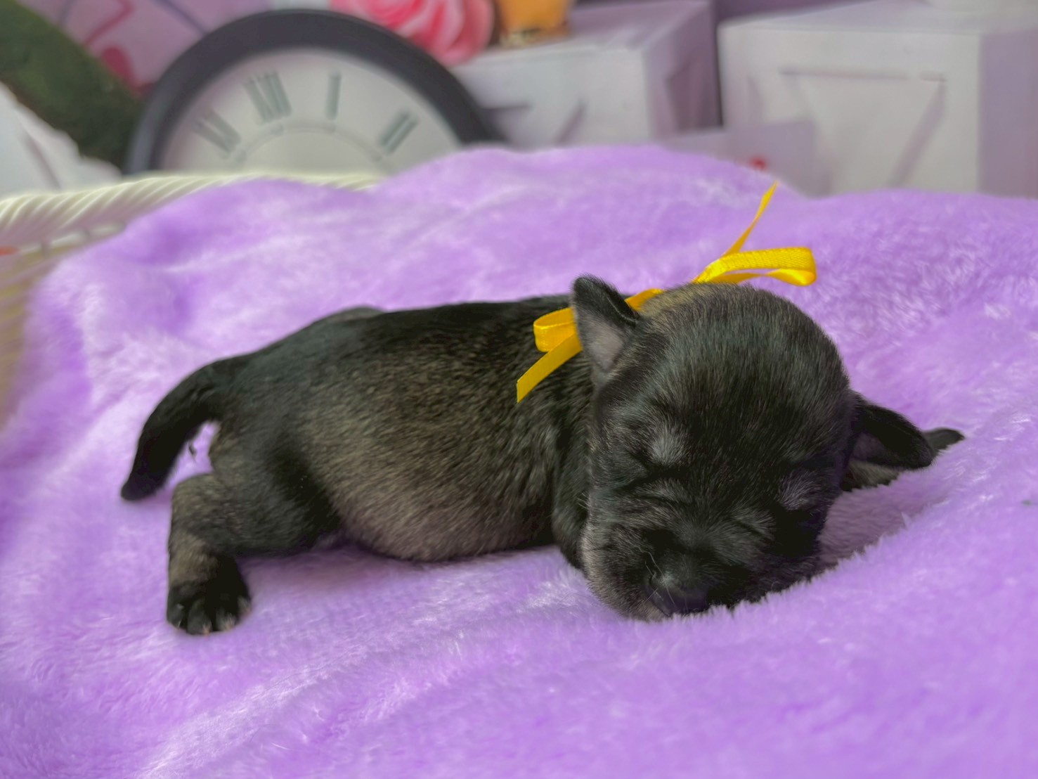 赤ちゃん写真1-2