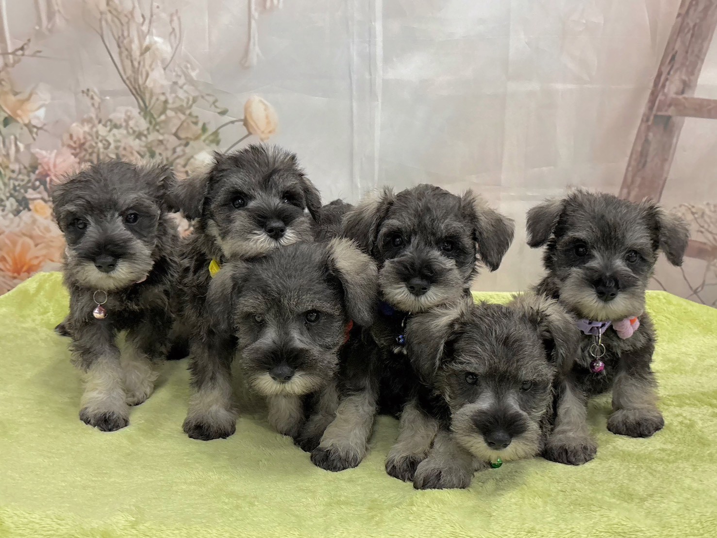 赤ちゃん写真3-3