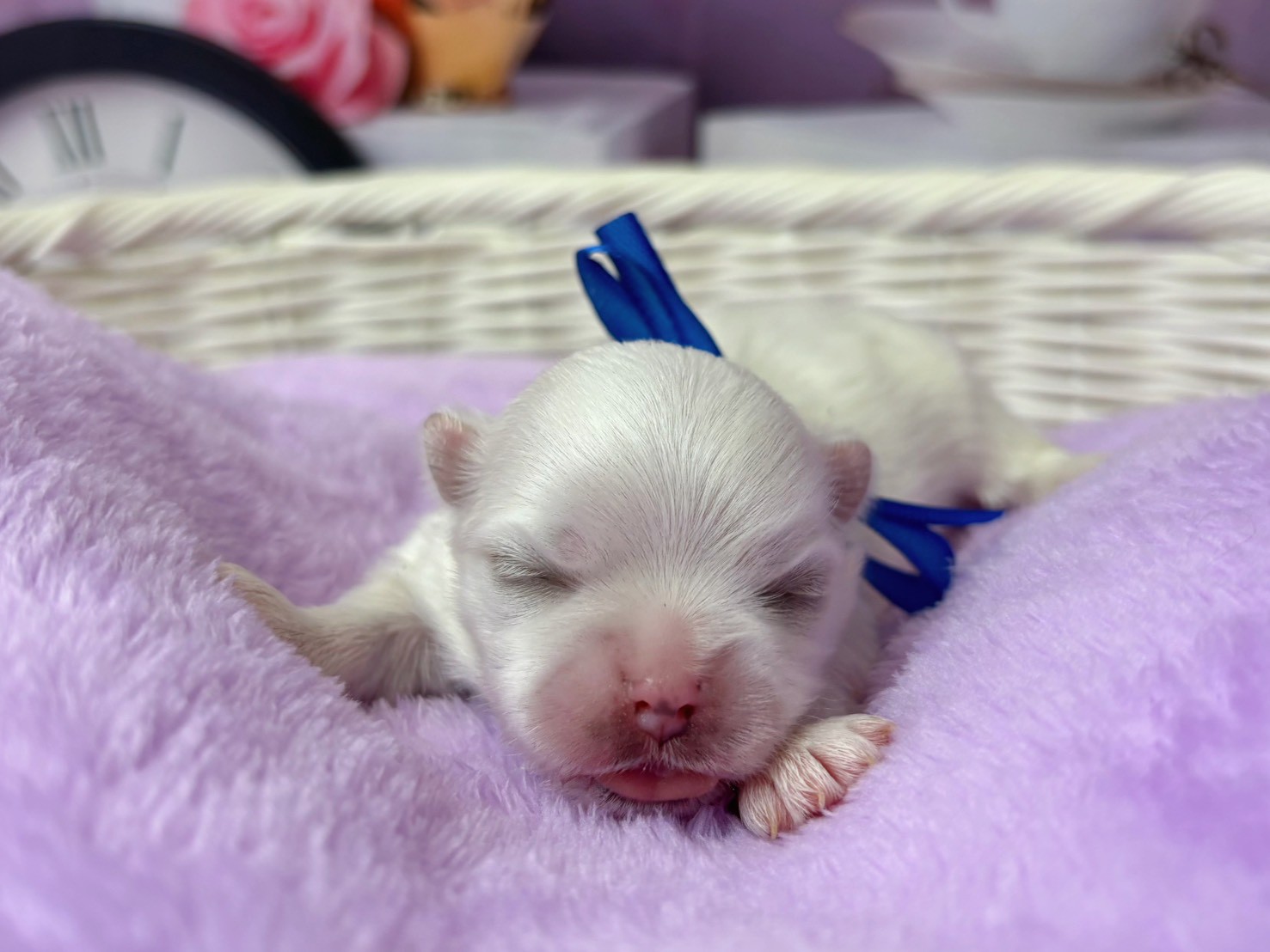 赤ちゃん写真1-1