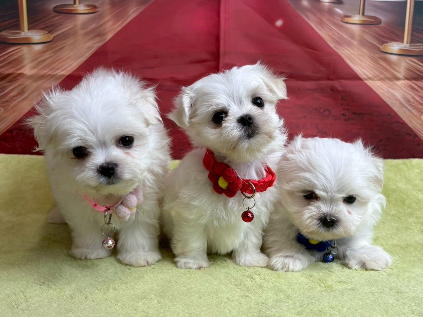 赤ちゃん写真3-3