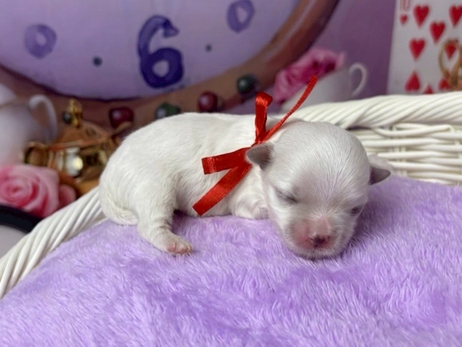 赤ちゃん写真1-2